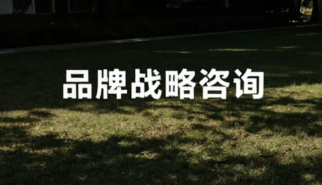 品牌咨询项目中的维护策略与长期价值
